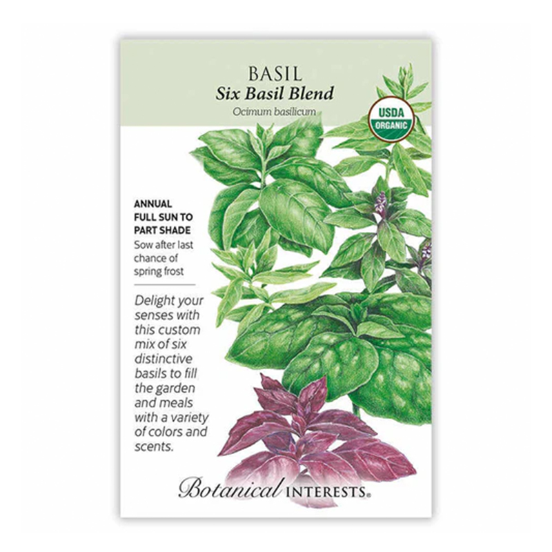 Basil Six Basil Blend Org