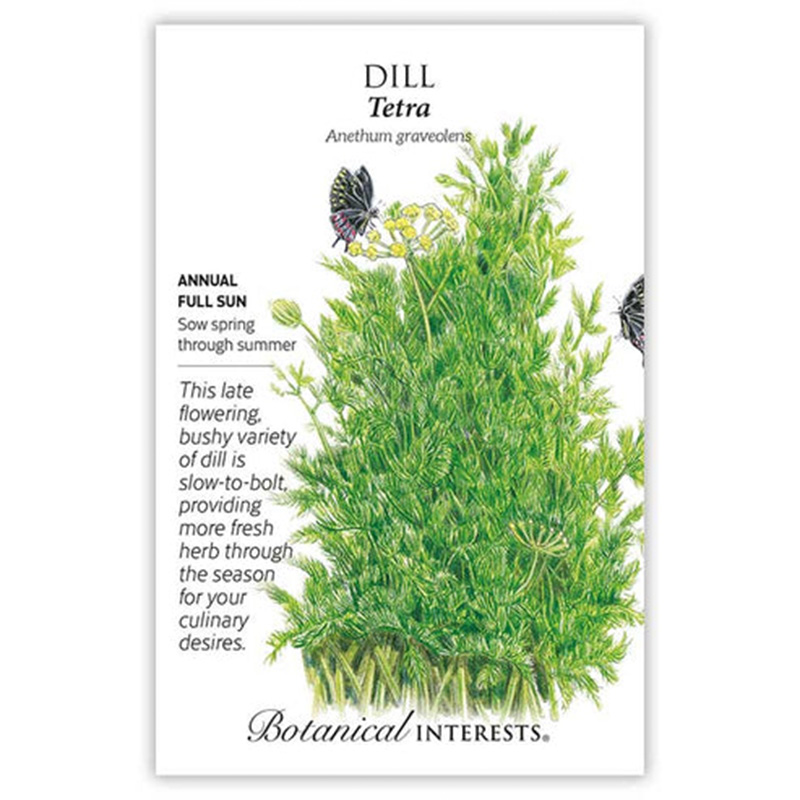 Dill Tetra
