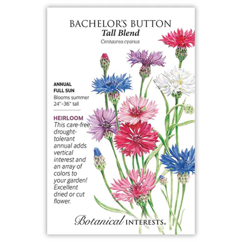 Bachelor Button Tall Blend