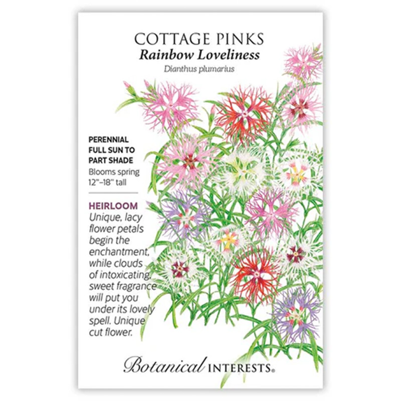Cottage Pinks Rainbow Loveliness