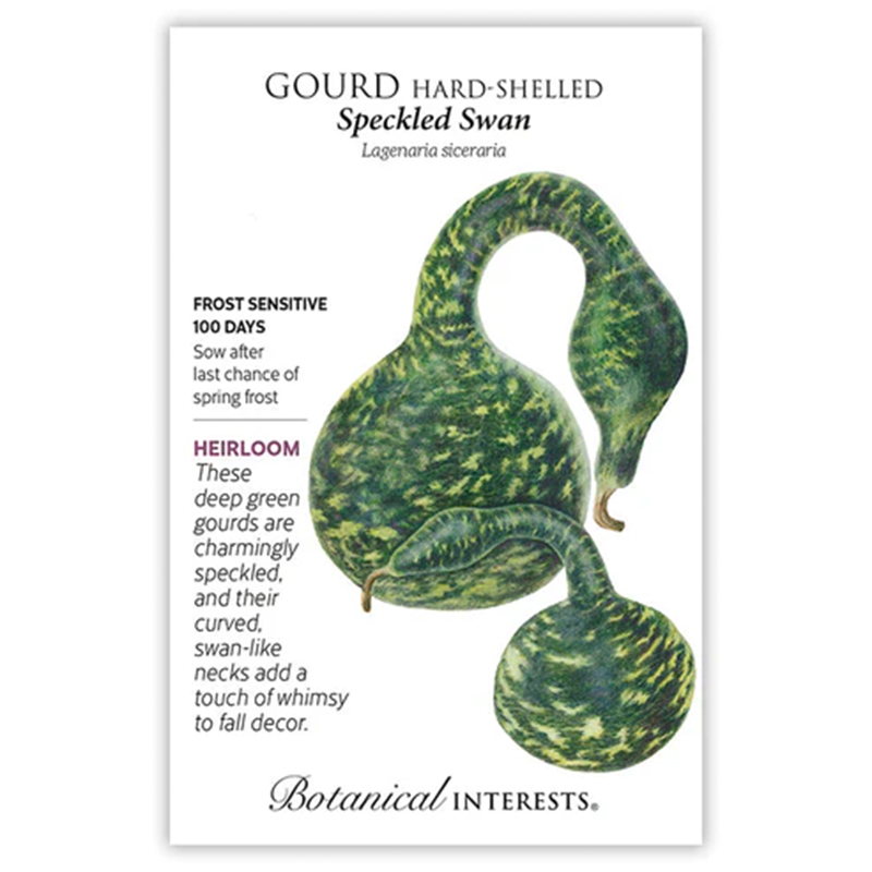 Gourd Speckled Swan