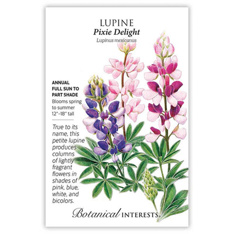 Lupine Pixie Delight