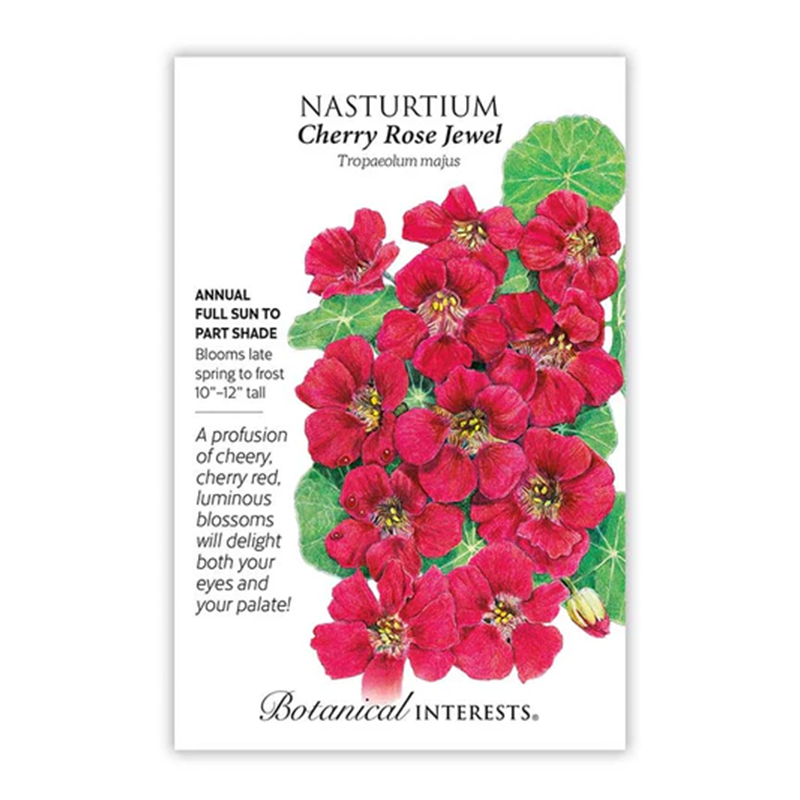 Nasturtium Cherry Rose Jewel