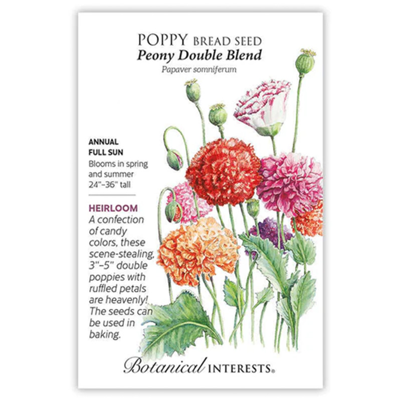 Poppy Bread Peony Double Blend