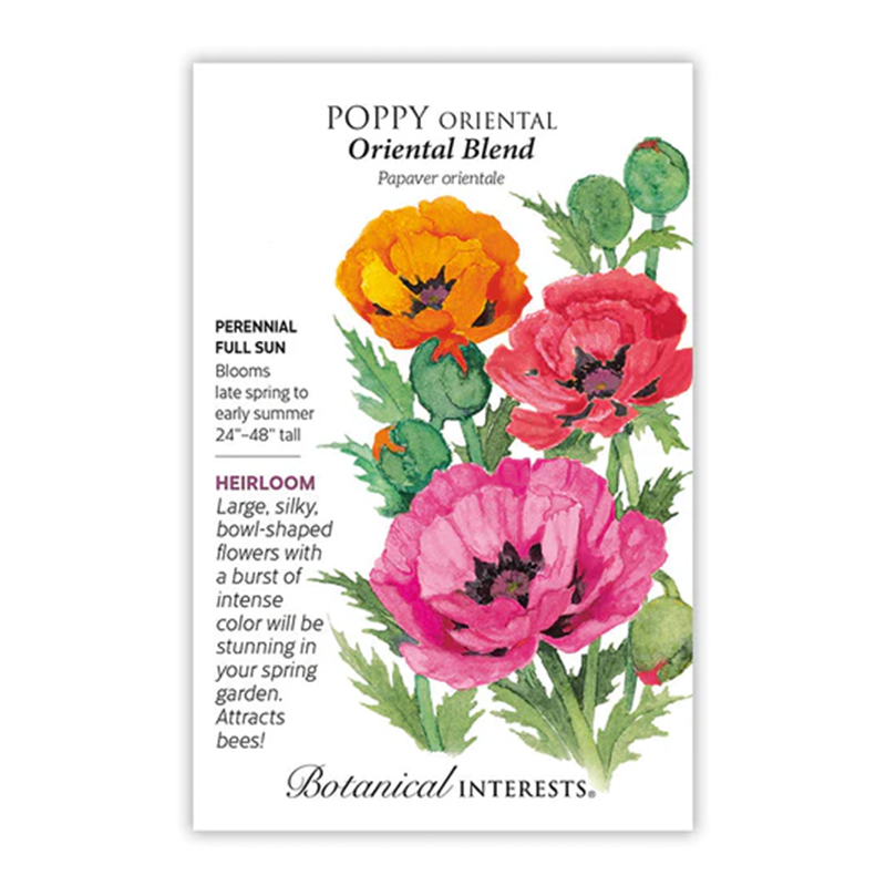 Poppy Oriental Blend