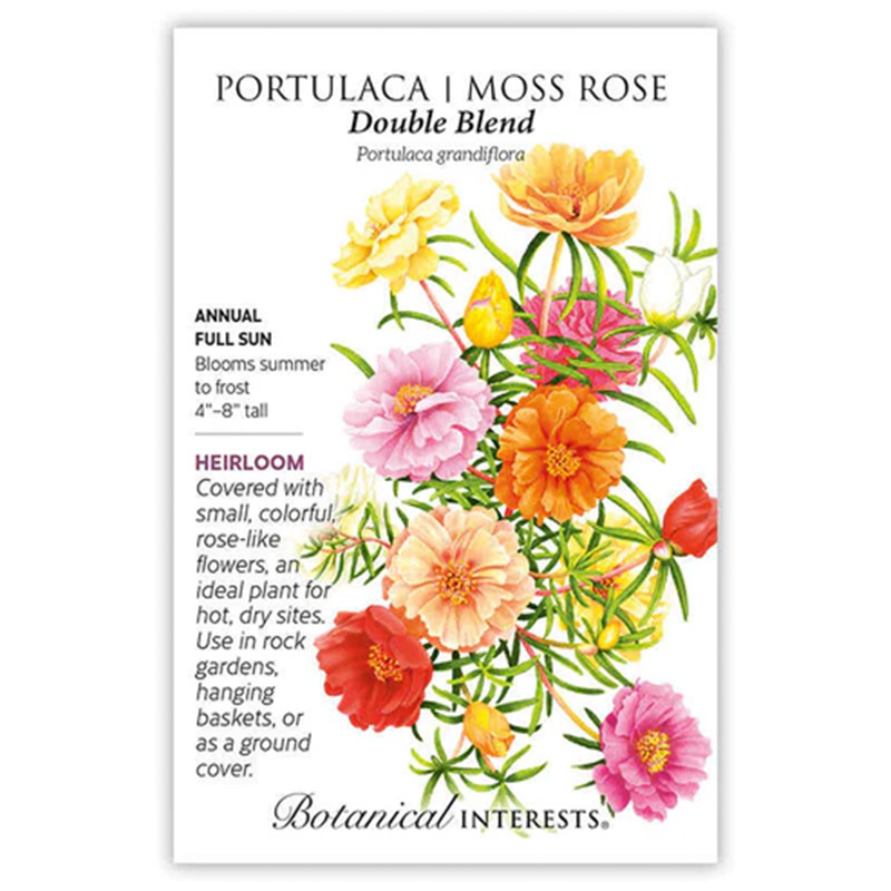 Portulaca Moss Rose Double Blend