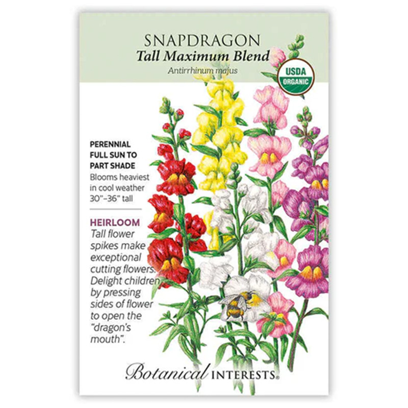 Snapdragon Tall Maximum Org