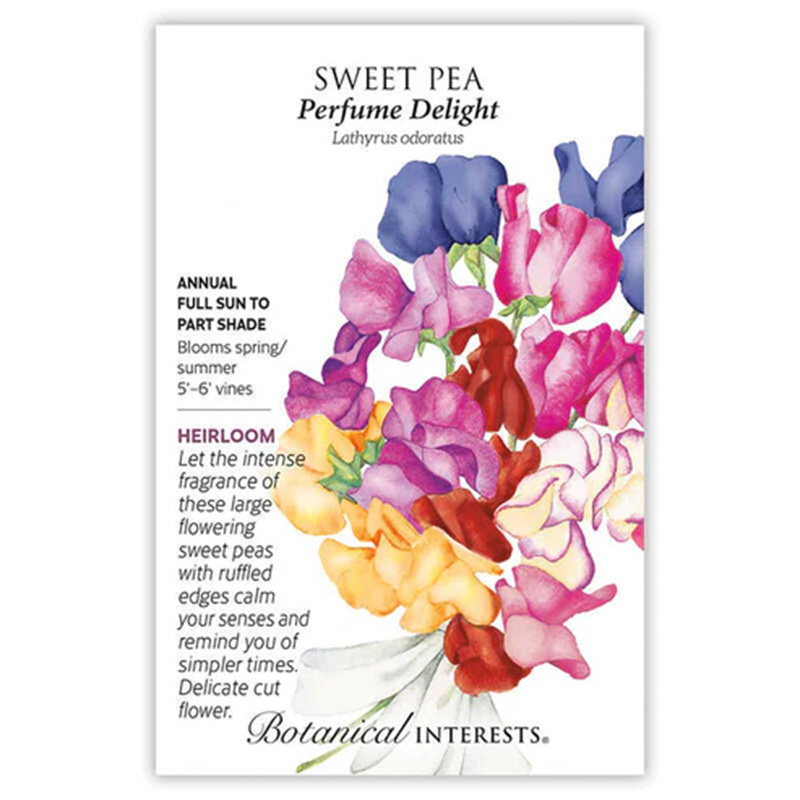 Sweet Pea Perfume Delight Blend