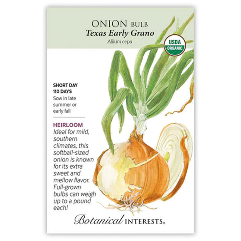 Onion Bulb Ylw Early Grano (SD)