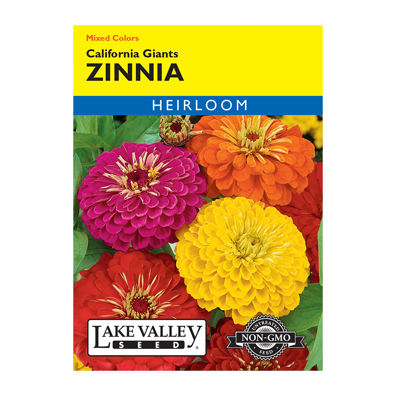 ZINNIA CALIFORNIA GIANTS MIXED