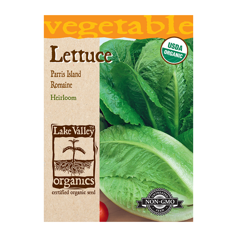 Organic Lettuce Romaine Parris