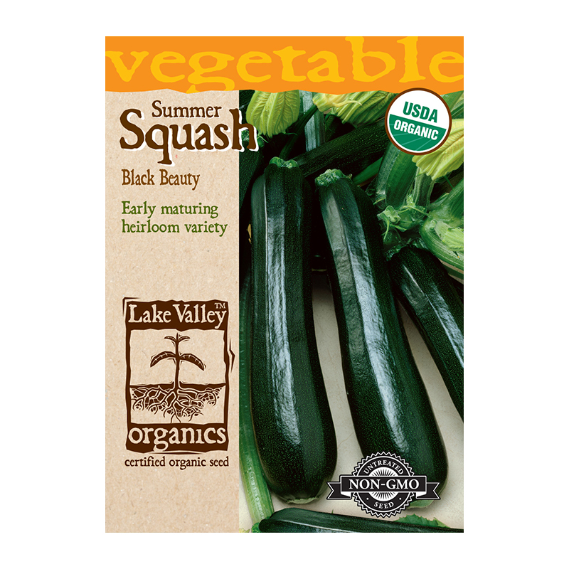 ORGANIC SQUASH SUMMER BLACK