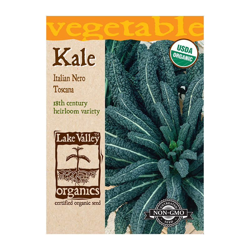 ORGANIC KALE ITALIAN NERO