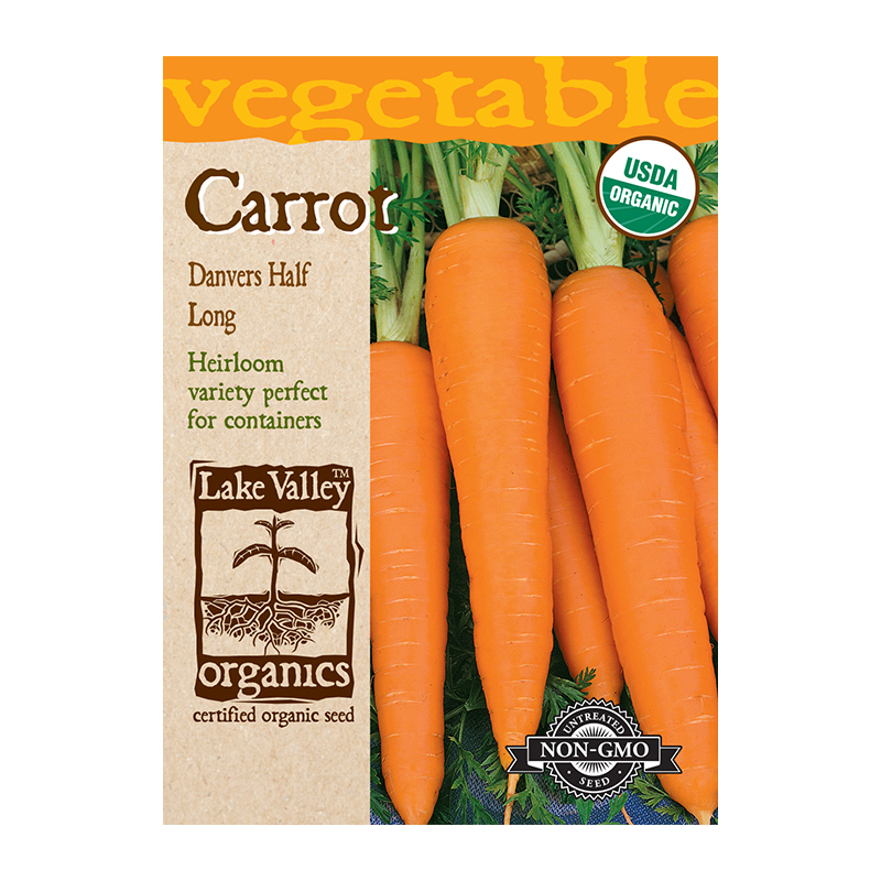 ORGANIC CARROT DANVERS