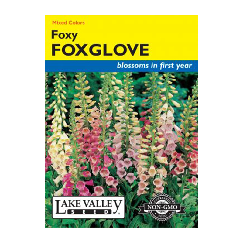 FOXGLOVE FOXY DWARF MIXED CO