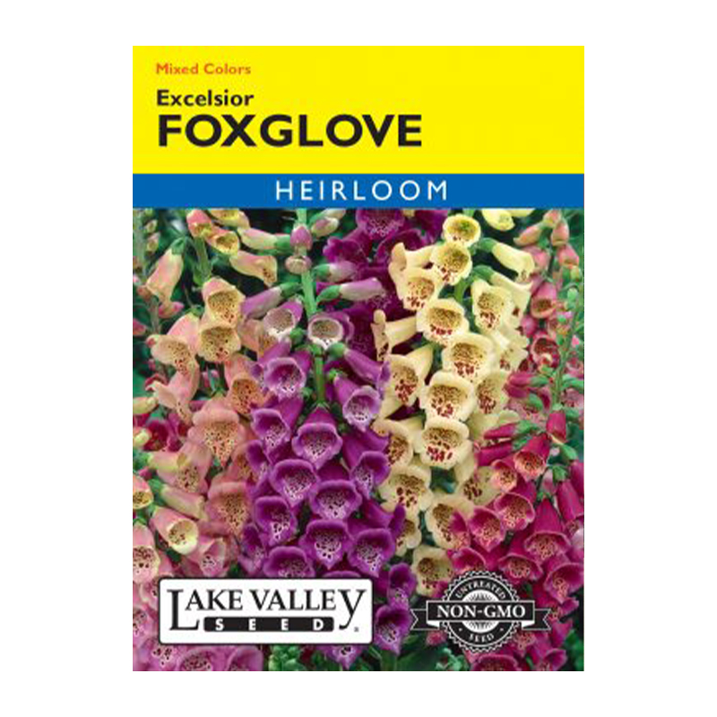 Foxglove Excelsior Mixed