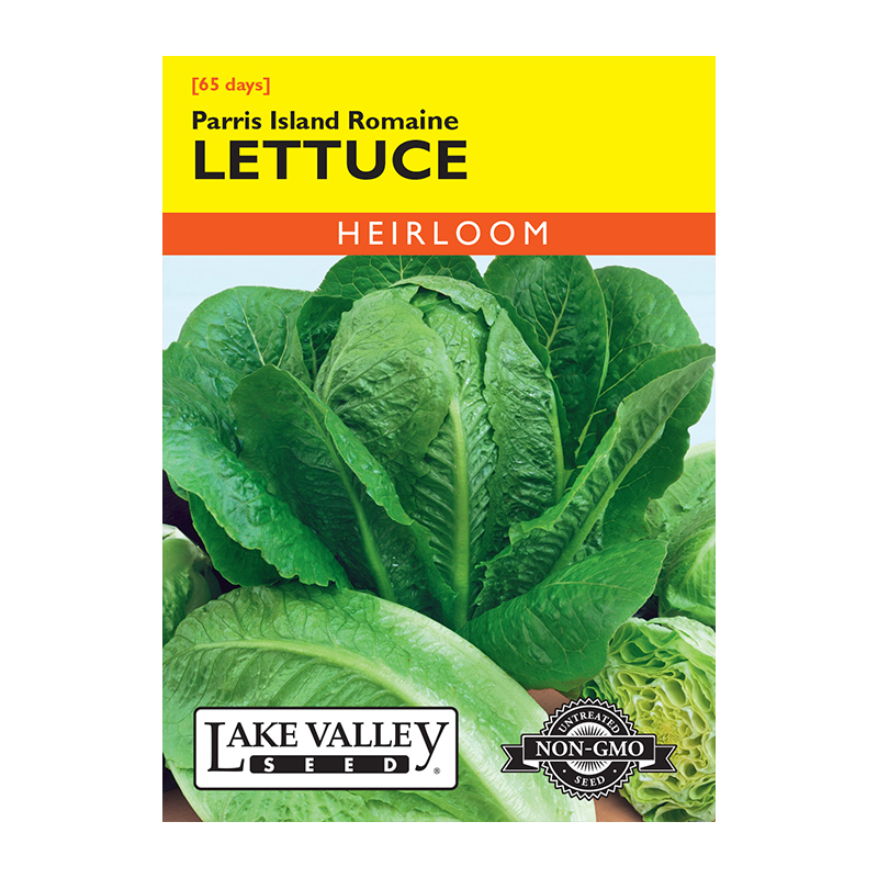 LETTUCE ROMAINE PARRIS ISLAND