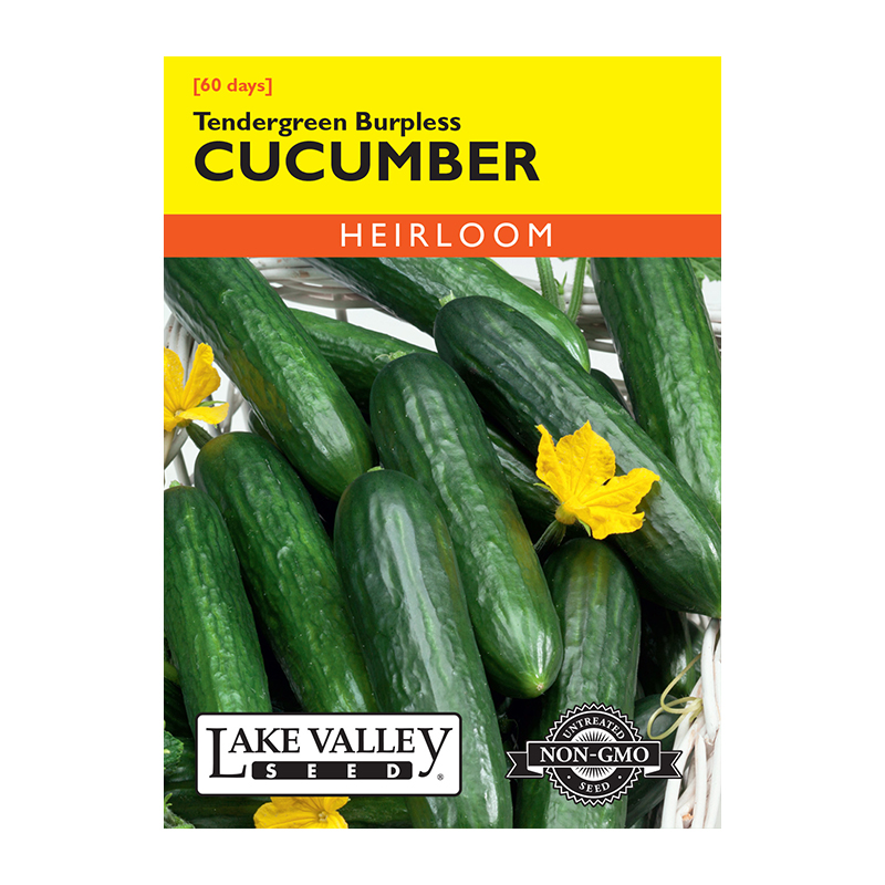 CUCUMBER TENDERGREEN BURPLESS