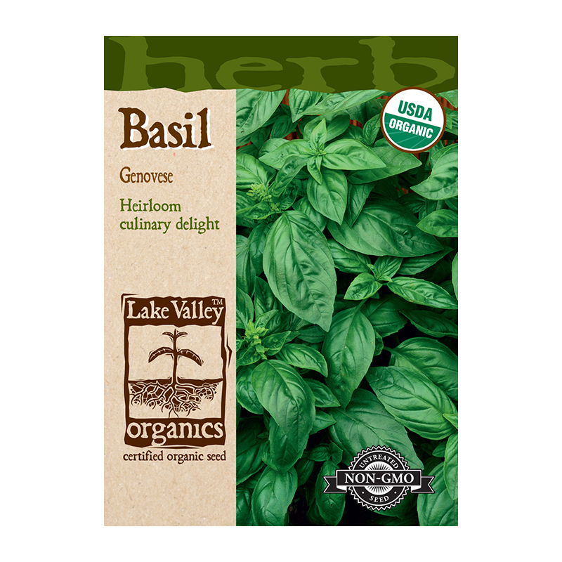 ORGANIC BASIL SWEET GENOVES