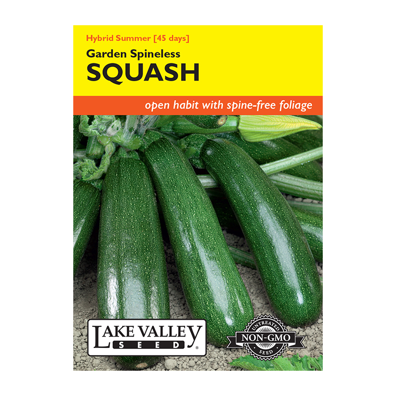 SQUASH SUMMER GARDEN SPINELESS