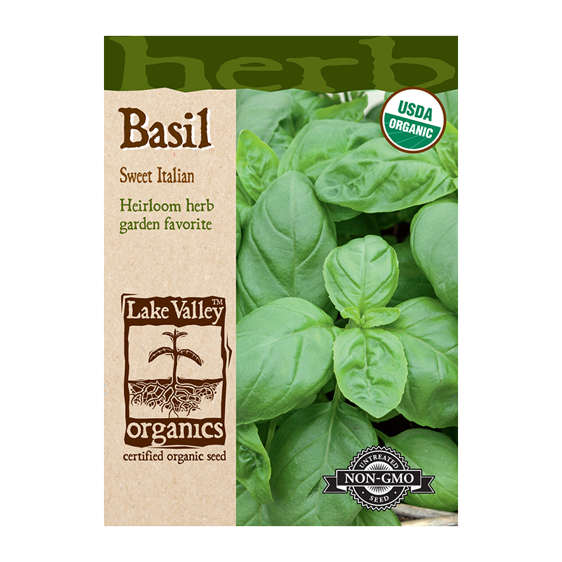 ORGANIC BASIL SWEET ITALIAN