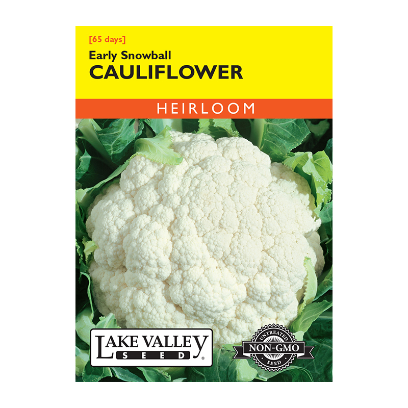 CAULIFLOWER EARLY SNOWBALL