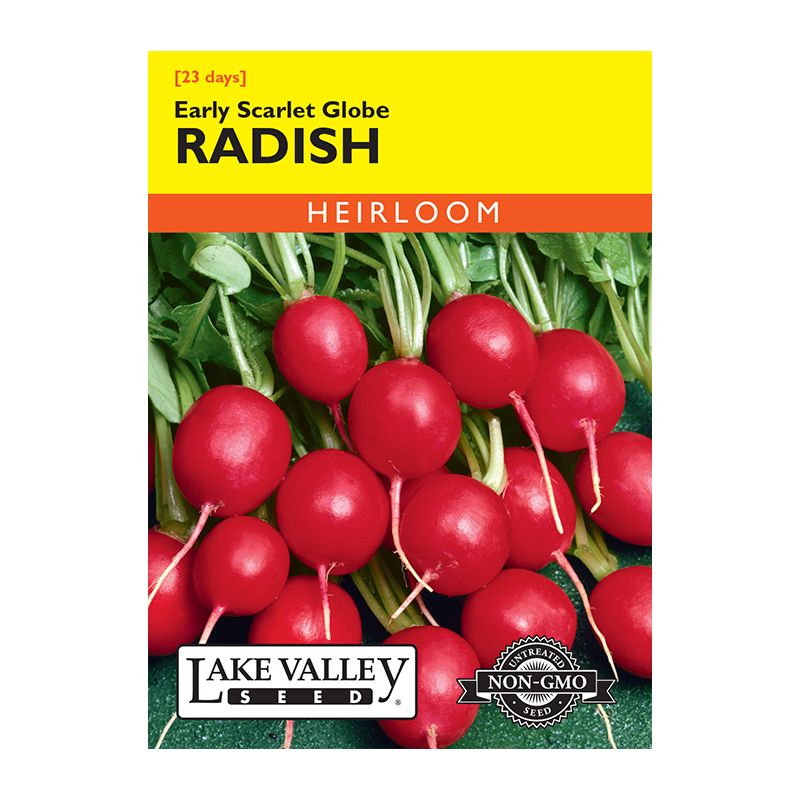 RADISH EARLY SCARLET GLOBE