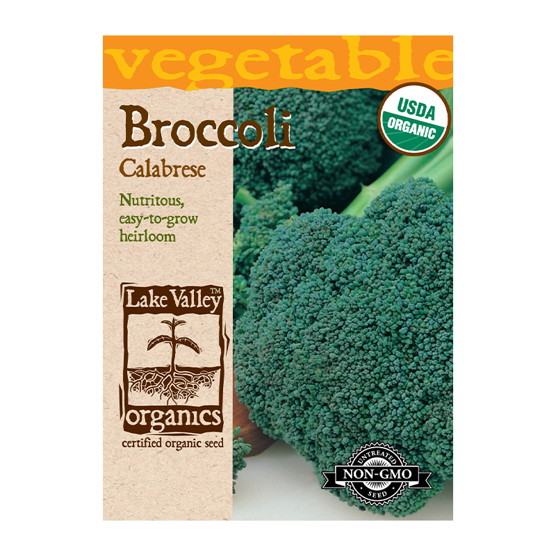 ORGANIC BROCCOLI CALABRESE