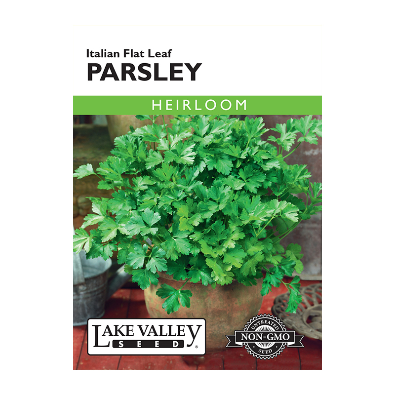 PARSLEY ITALIAN FLAT LEAF