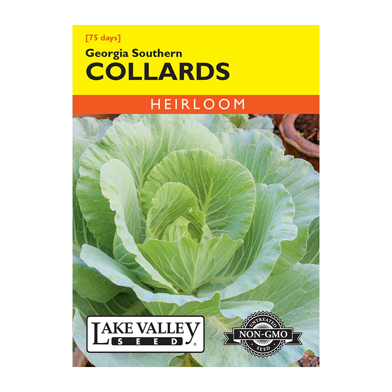 COLLARDS GEORGIA SOUTHERN