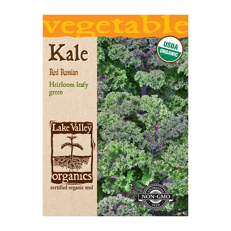 ORGANIC KALE RED RUSSIAN