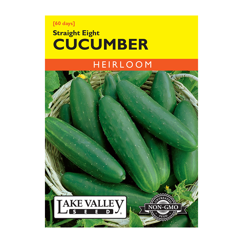 CUCUMBER STRAIGHT EIGHT