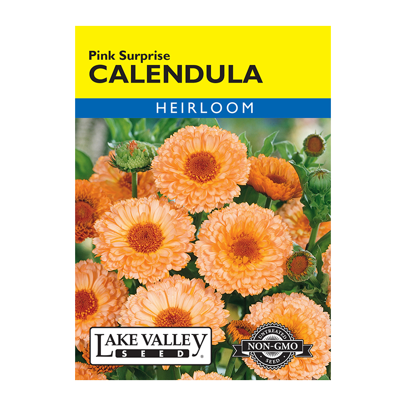 Calendula Pink Surprise Heirlo