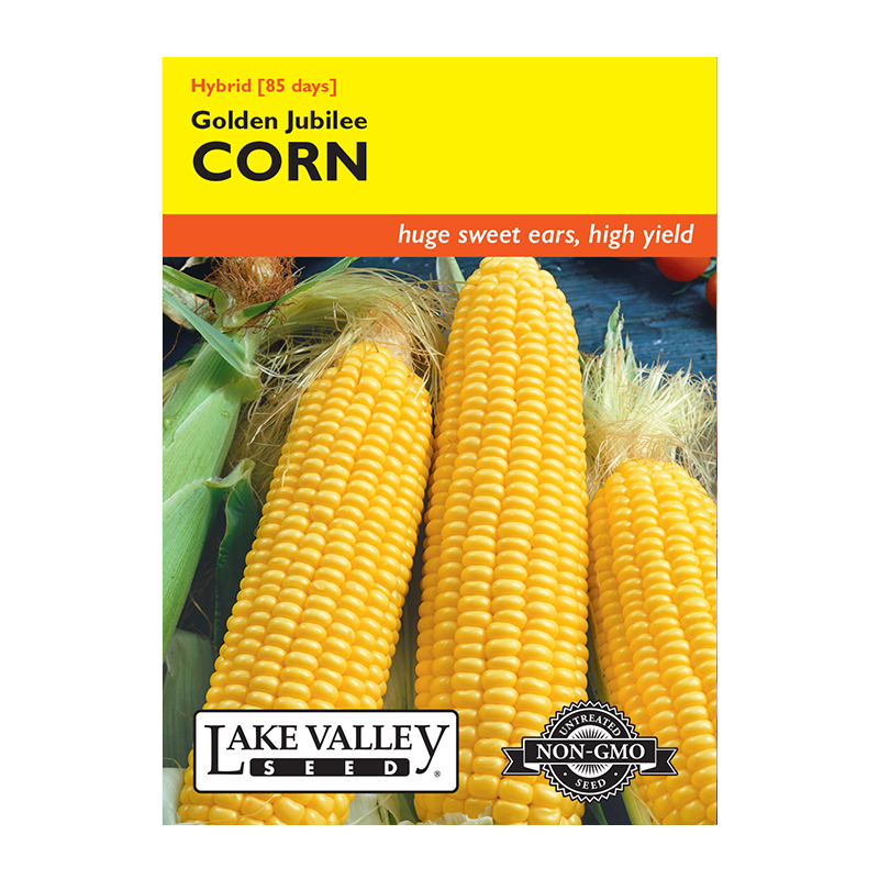 CORN SWEET GOLDEN JUBILEE HYBR