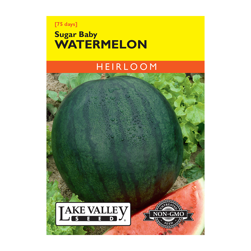 WATERMELON SUGAR BABY   HEIRLO