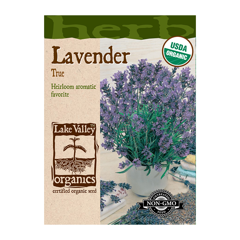 ORGANIC LAVENDER TRUE  HEIRLO