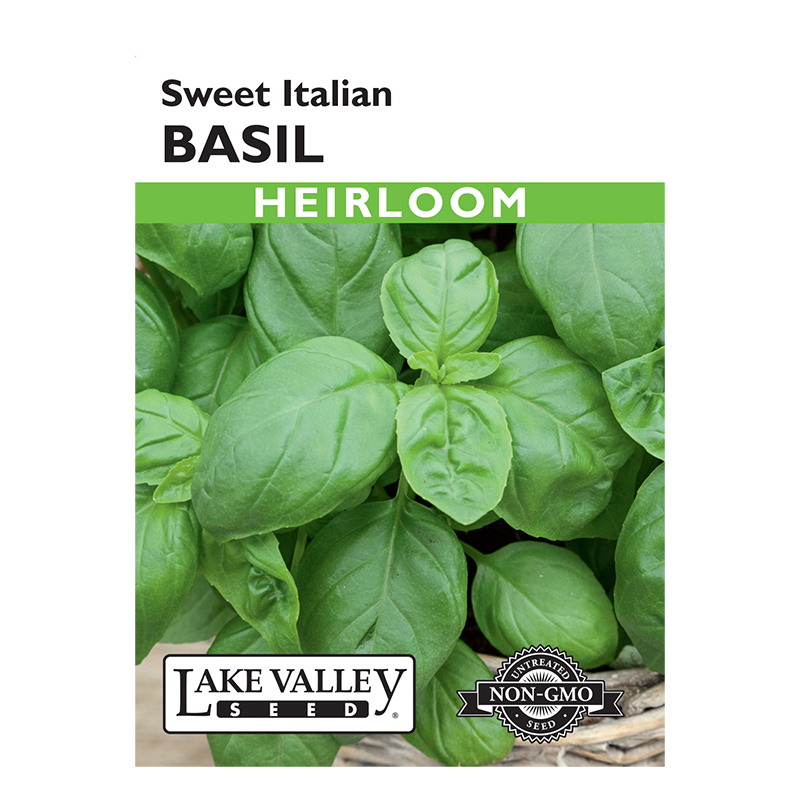 Basil Sweet Italian Heirloom