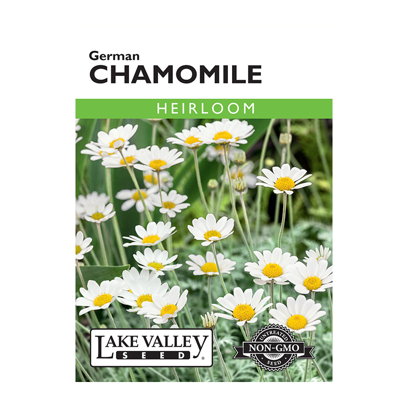 CHAMOMILE GERMAN   HEIRLOOM