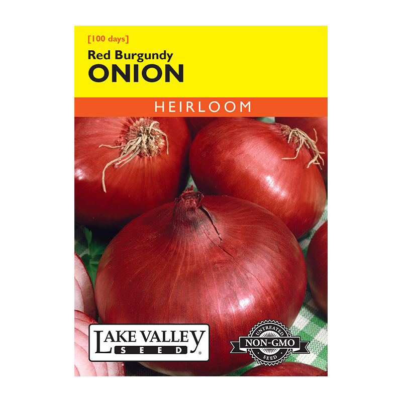 ONION RED BURGUNDY HEIRLOOM