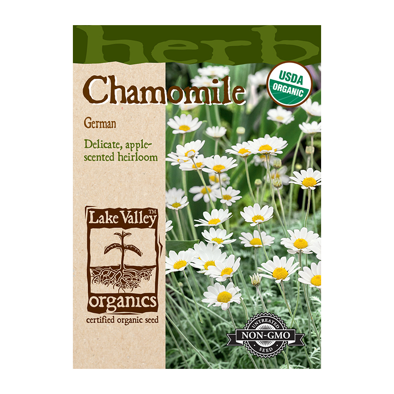 ORGANIC CHAMOMILE  HEIRLOOM