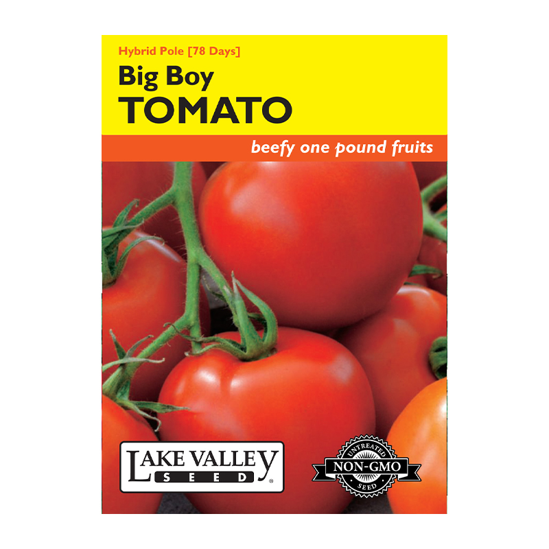 TOMATO POLE BIG BOY HYBRID