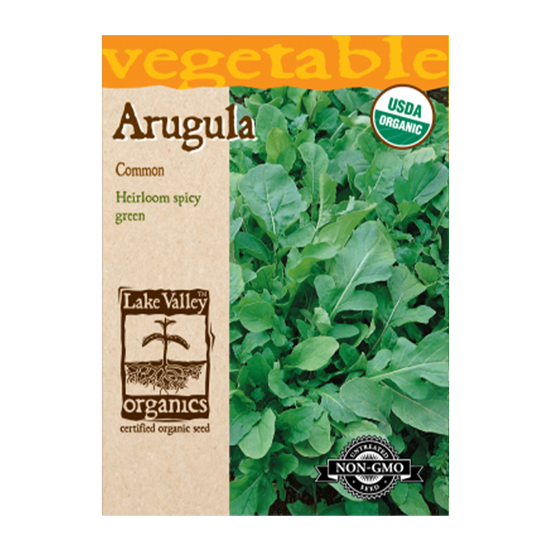 ORGANIC ARUGULA   HEIRLOOM