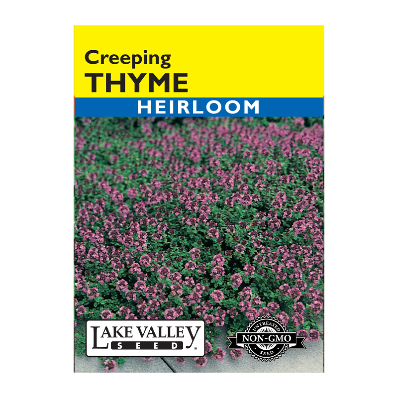 Thyme Creeping Heirloom