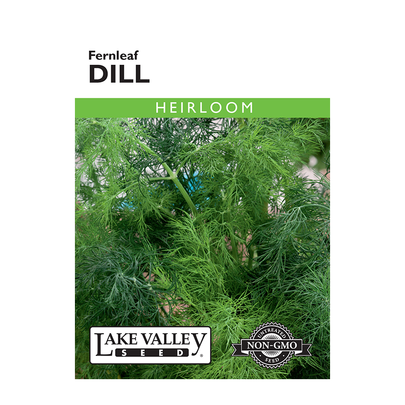 DILL FERNLEAF HEIRLOOM