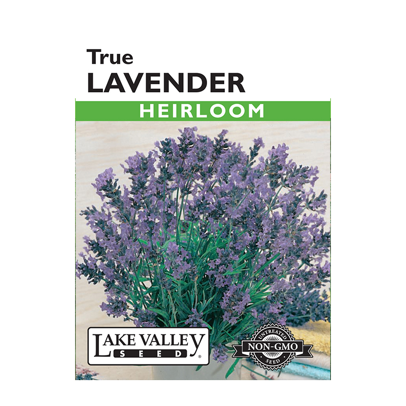 LAVENDER TRUE HEIRLOOM