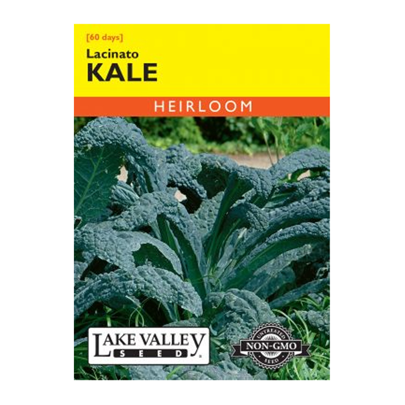 KALE LACINATO HEIRLOOM