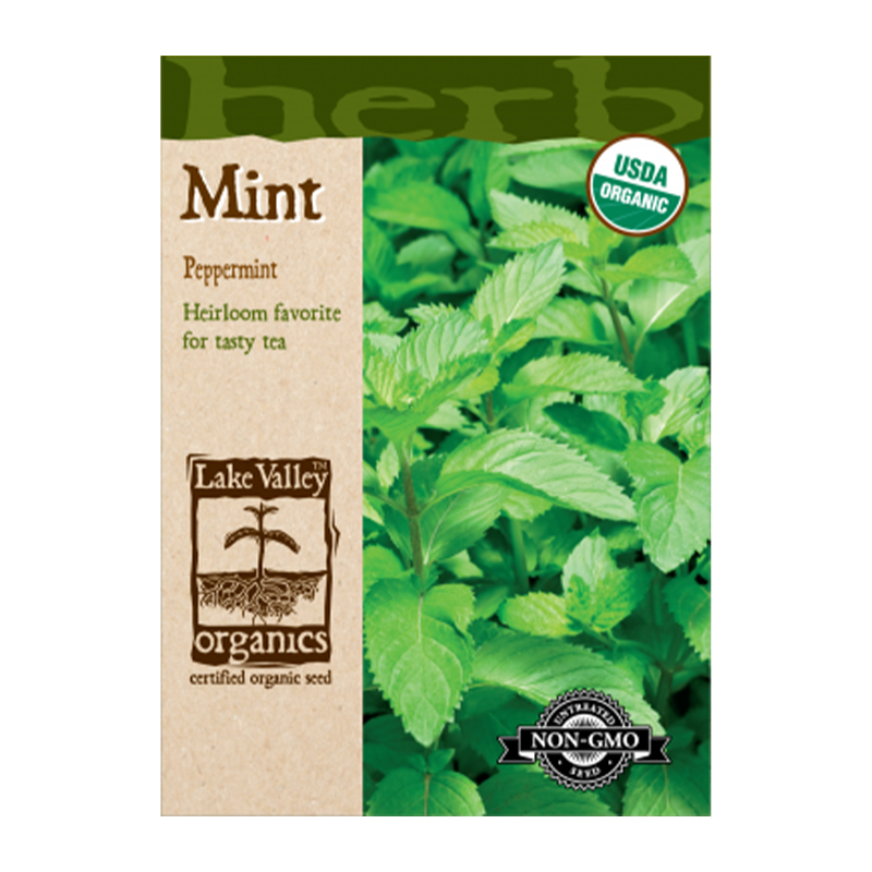 ORGANIC MINT  HEIRLOOM