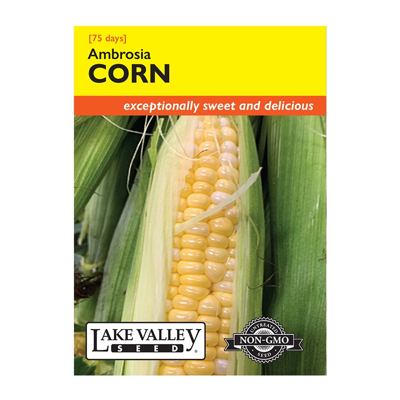 CORN SWEET AMBROSIA