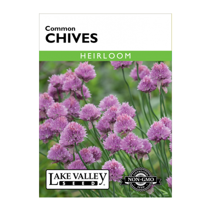 CHIVES  HEIRLOOM