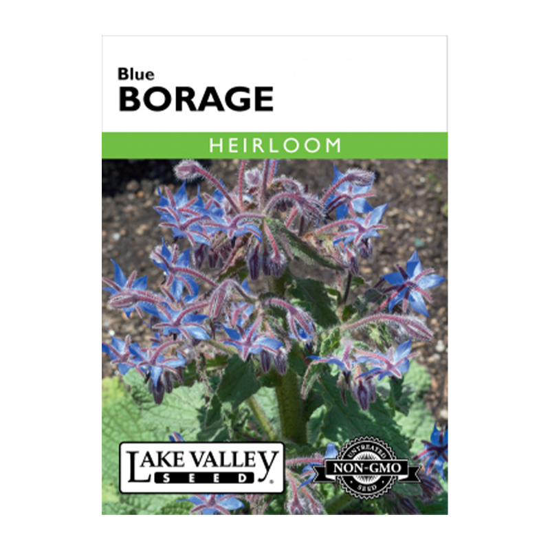 Borage Heirloom